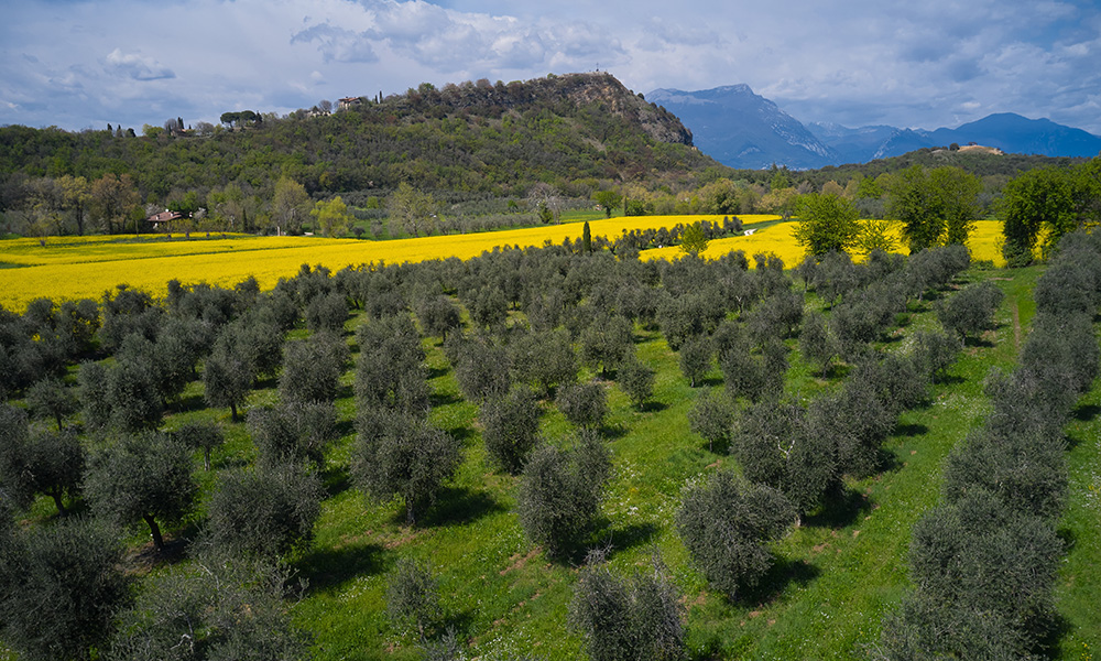 San Pietro in Cariano